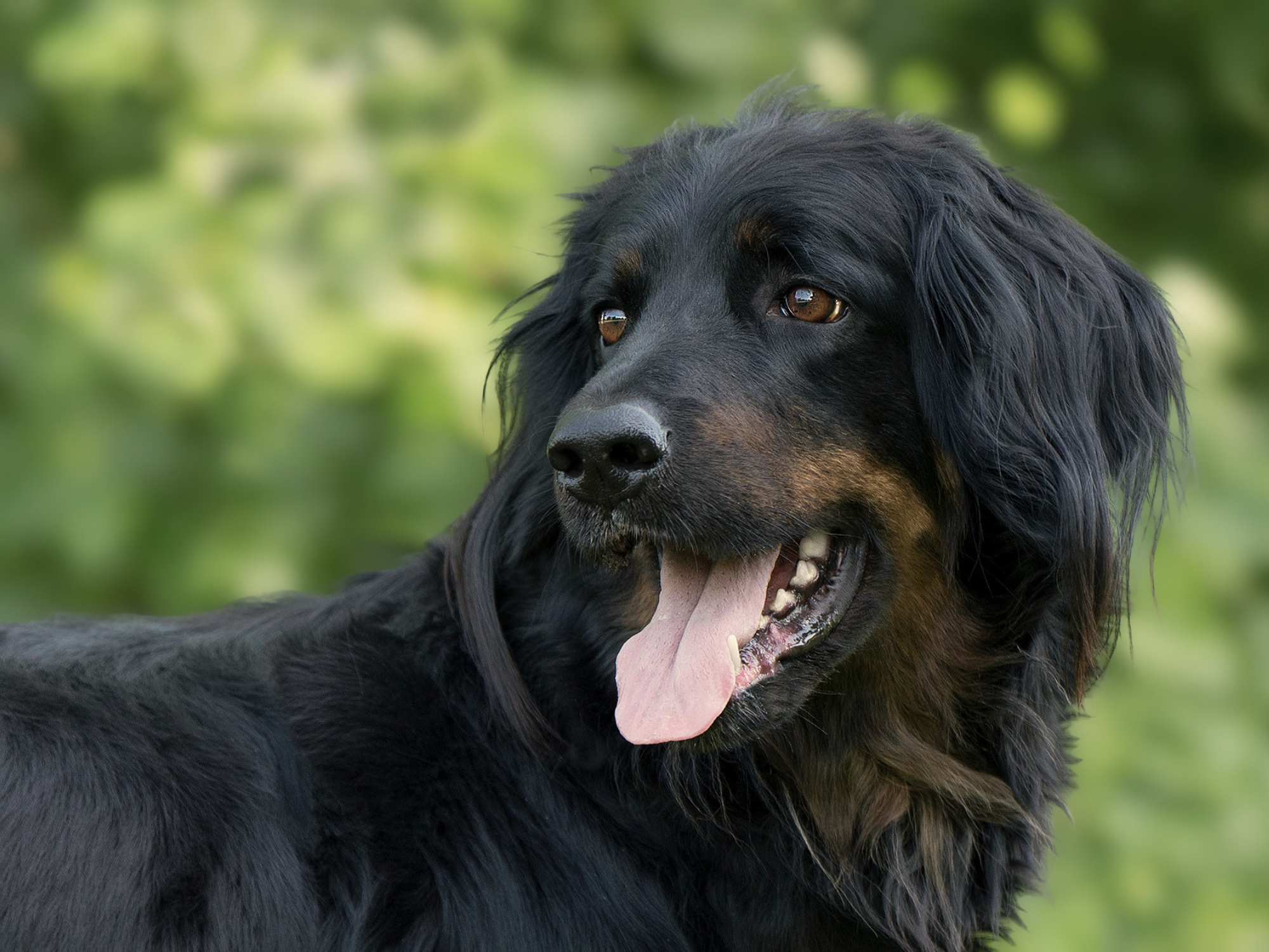 Kessy vom Pferdebach_1000x1500_1