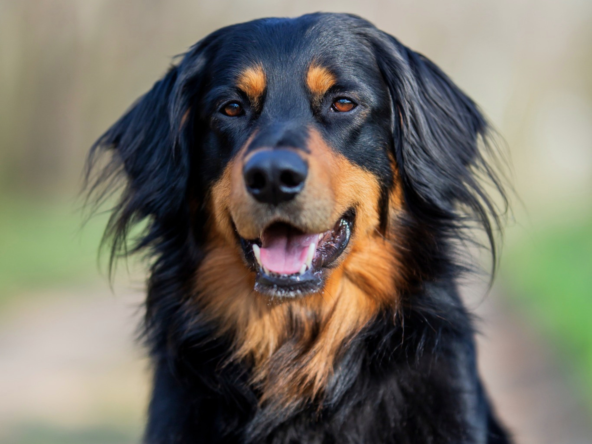 Pusztai Pandur Xavier_1000x1500_1