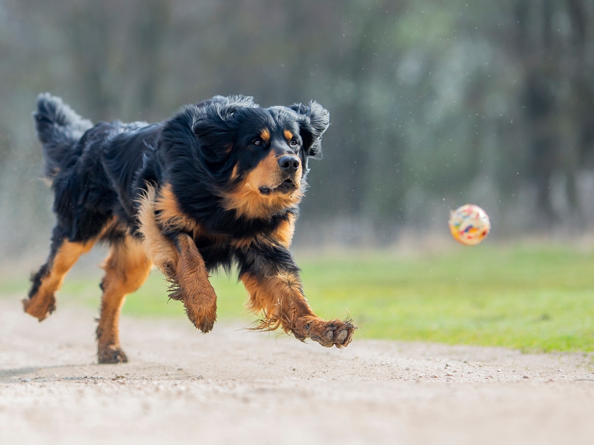 Pusztai Pandur Xavier_1000x1500_4